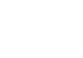 Nico Airone
